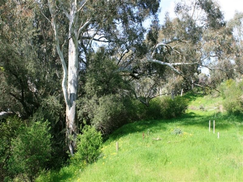 Lots 4,5,6 Strickland Street, Clare SA 5453