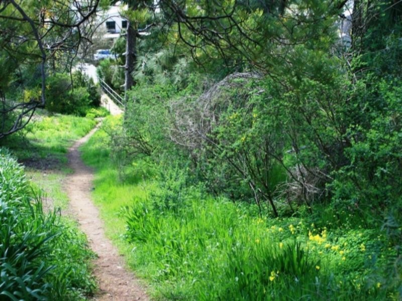 Lots 4,5,6 Strickland Street, Clare SA 5453