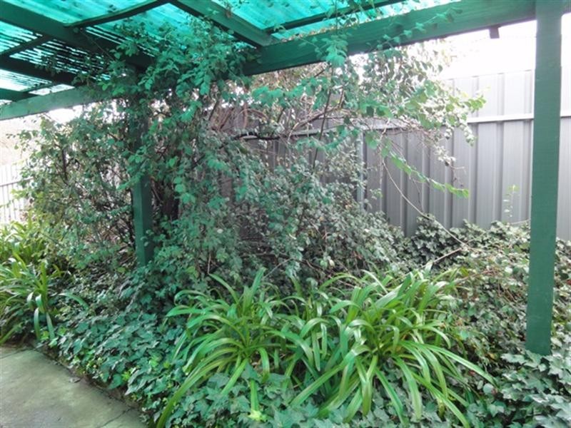 3 Dominic Street, Clare SA 5453