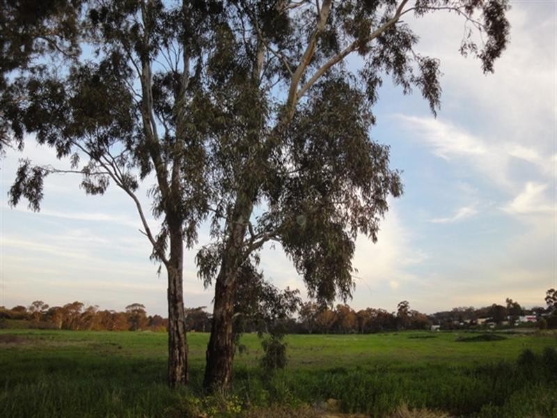 Lot 3 Main North Road, Clare SA 5453