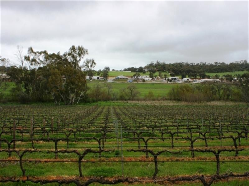 Lot 3 Main North Road, Clare SA 5453