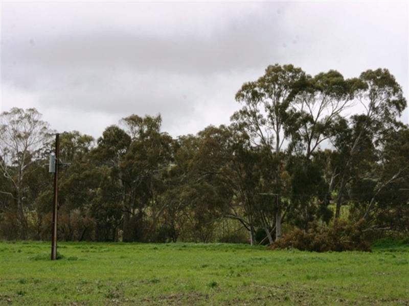 Lot 3 Main North Road, Clare SA 5453