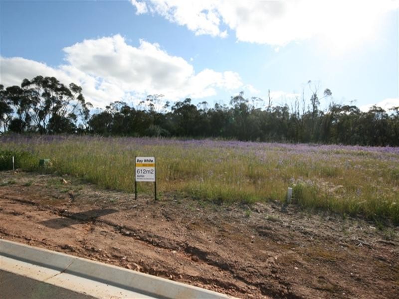 Lot 12 Tamblyn Street, Clare SA 5453