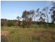 Lot 12 Tamblyn Street, Clare SA 5453