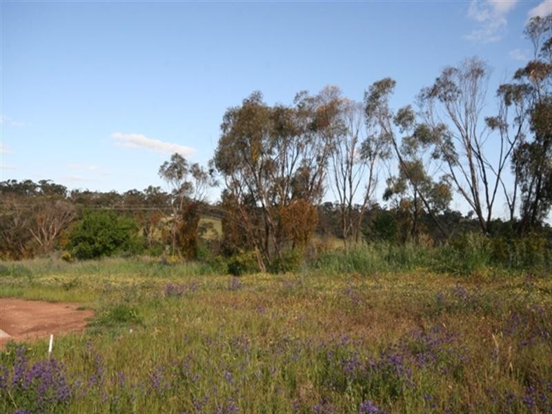 Lot 12 Tamblyn Street, Clare SA 5453