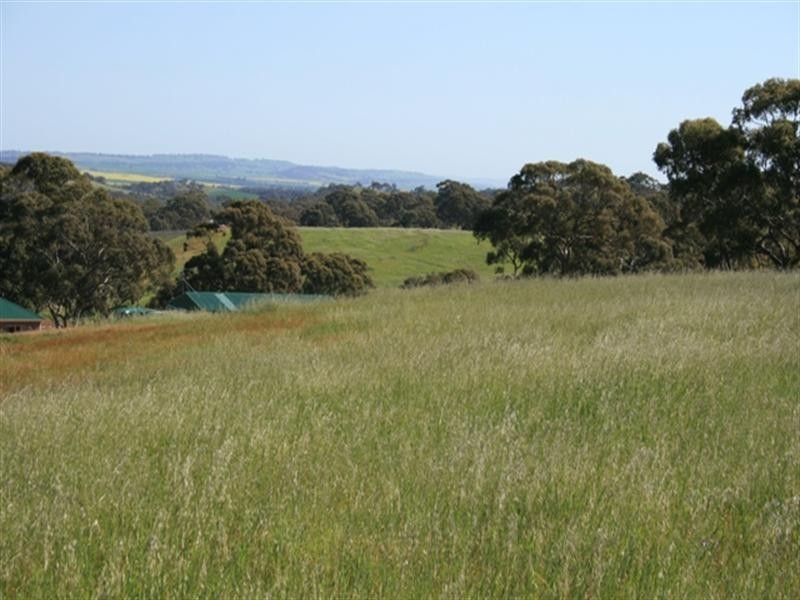 Lot 12 Tamblyn Street, Clare SA 5453