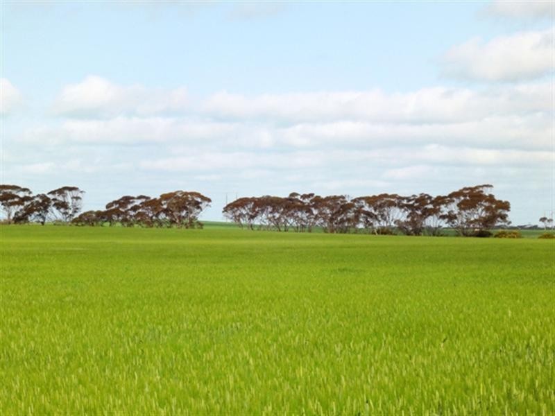 “Mildes” Atkinsons Road North, Blyth SA 5462