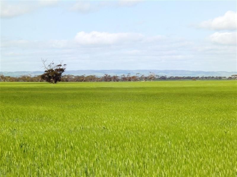 “Mildes” Atkinsons Road North, Blyth SA 5462