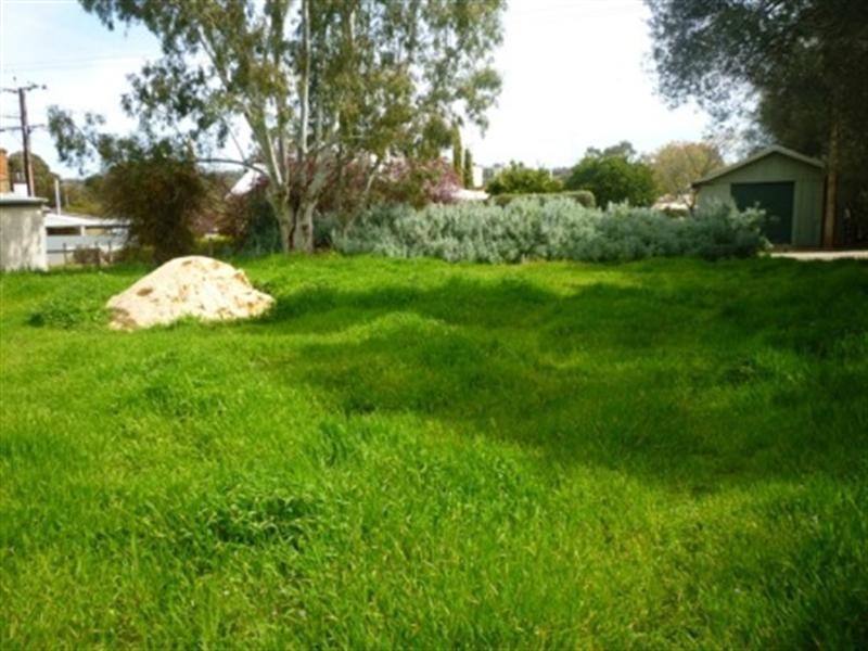 16 Union Street, Clare SA 5453