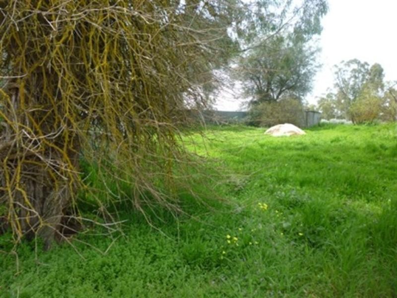 16 Union Street, Clare SA 5453