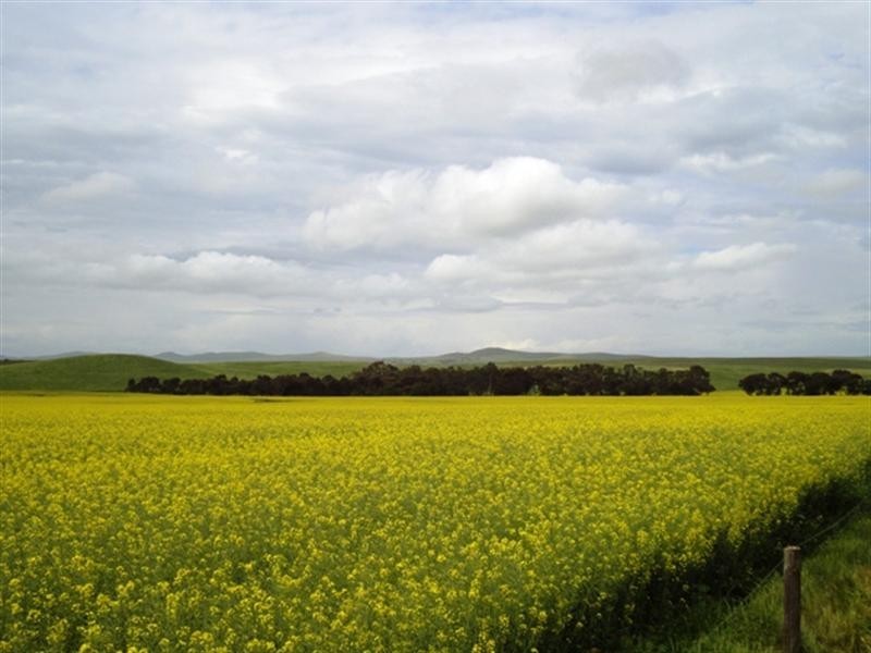 Lot 5 Hill River Road, Andrews SA 5454