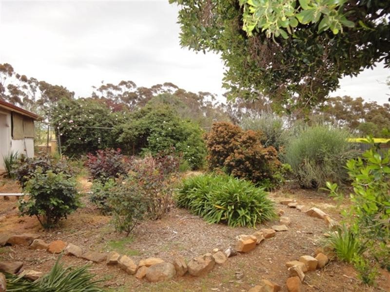 Lot 5 Hill River Road, Andrews SA 5454