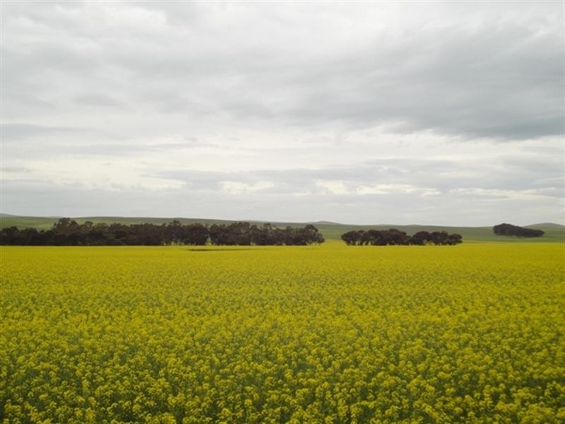 Lot 5 Hill River Road, Andrews SA 5454