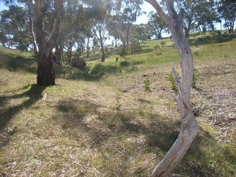 Lot 45 Norman Drive, Clare SA 5453