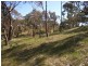 Lot 45 Norman Drive, Clare SA 5453