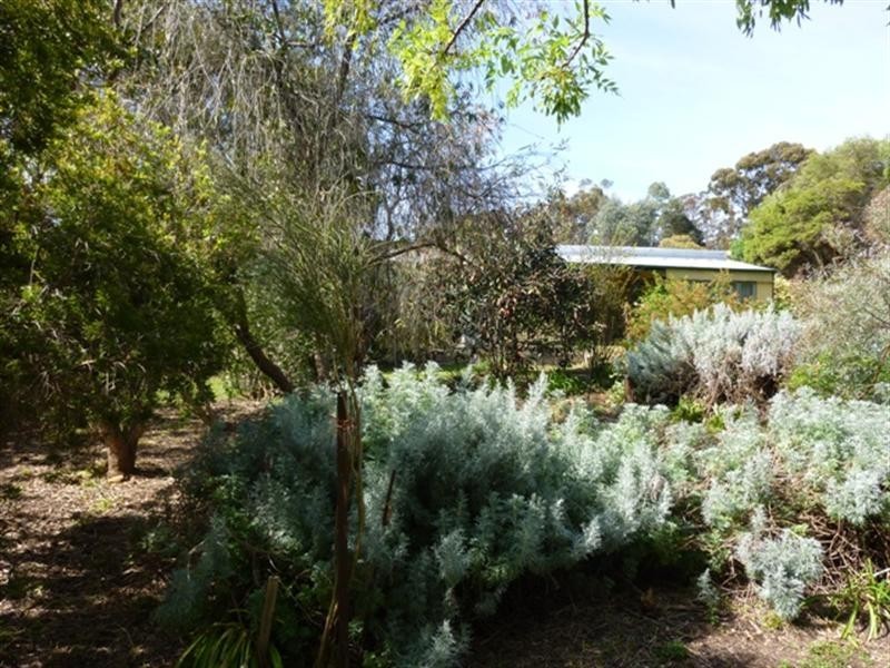 56 Victoria Road, Clare SA 5453