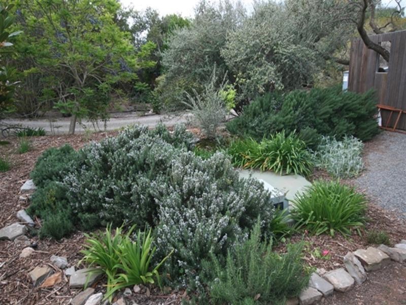 Lot 91 Main North Road, Auburn SA 5451