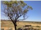 Sec 290 Eba Road via, Morgan SA 5320