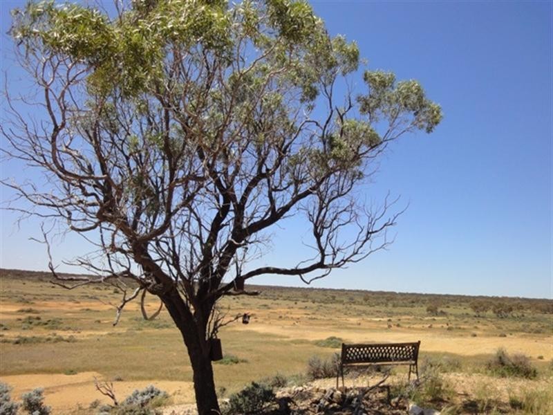 Sec 290 Eba Road via, Morgan SA 5320