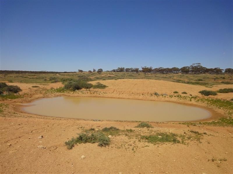 Sec 290 Eba Road via, Morgan SA 5320