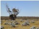 Sec 290 Eba Road via, Morgan SA 5320