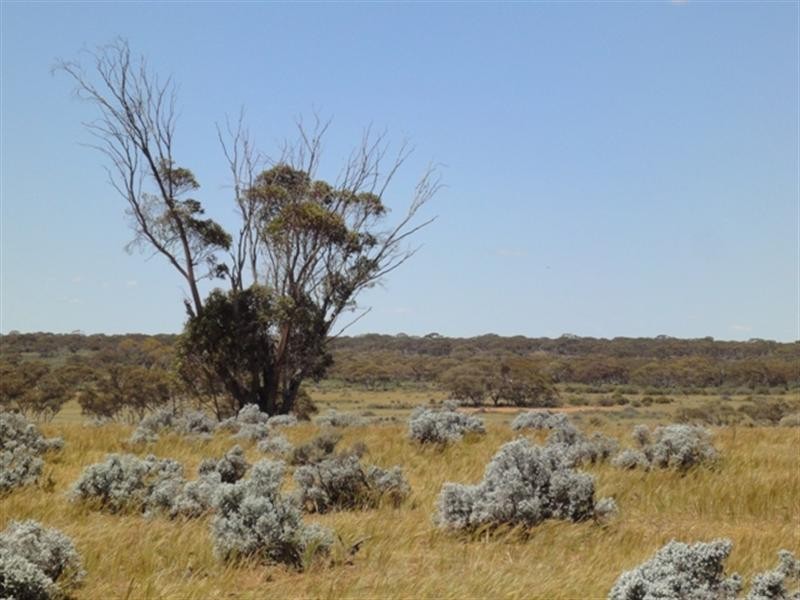 Sec 290 Eba Road via, Morgan SA 5320