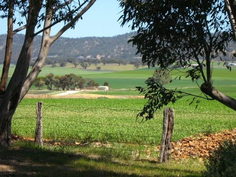 Section 418C Black Springs Road, Emu Downs SA 5381