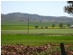 Section 418C Black Springs Road, Emu Downs SA 5381