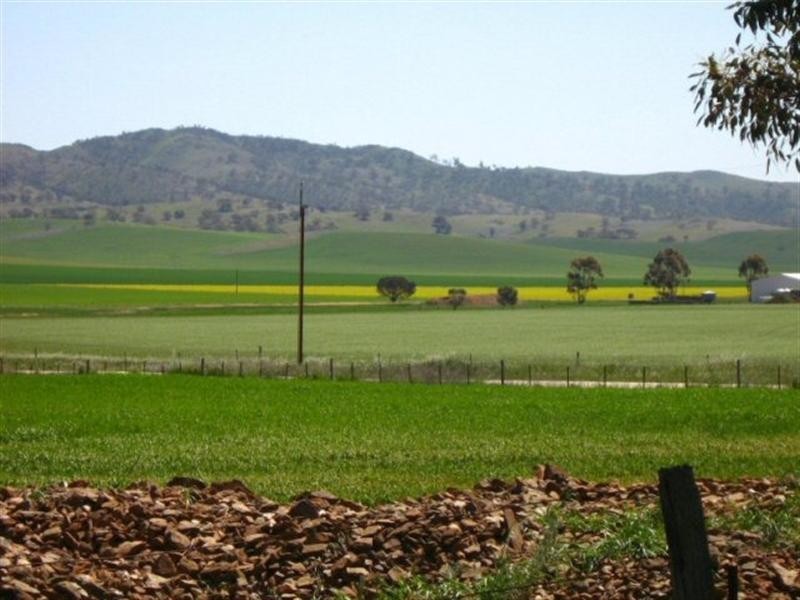 Section 418C Black Springs Road, Emu Downs SA 5381