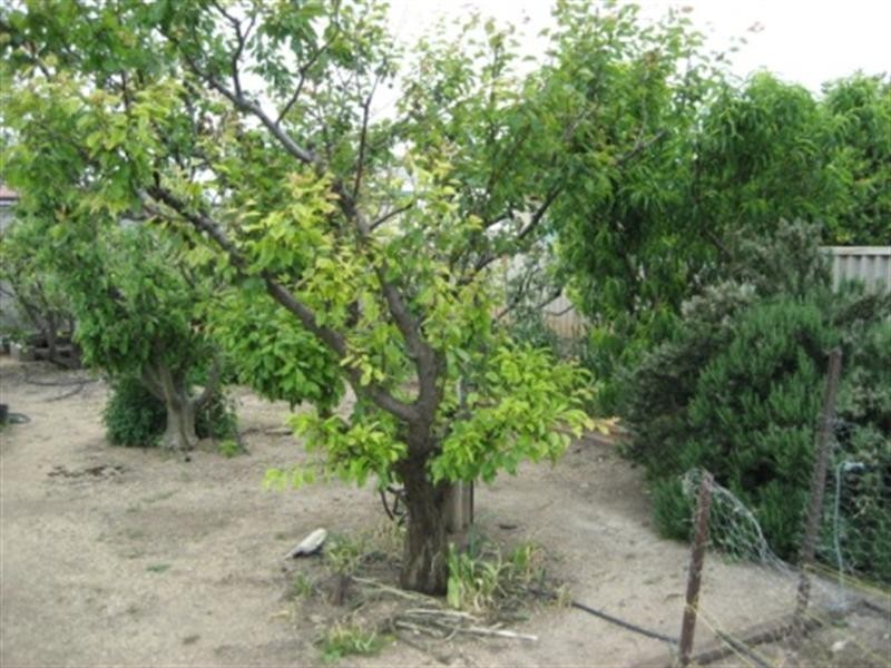 4 Tiddy Widdy Road, Ardrossan SA 5571