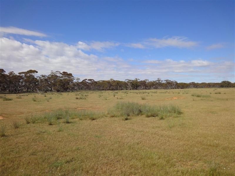 “Ragless” Mallett and Ragless Roads, Hallett SA 5419