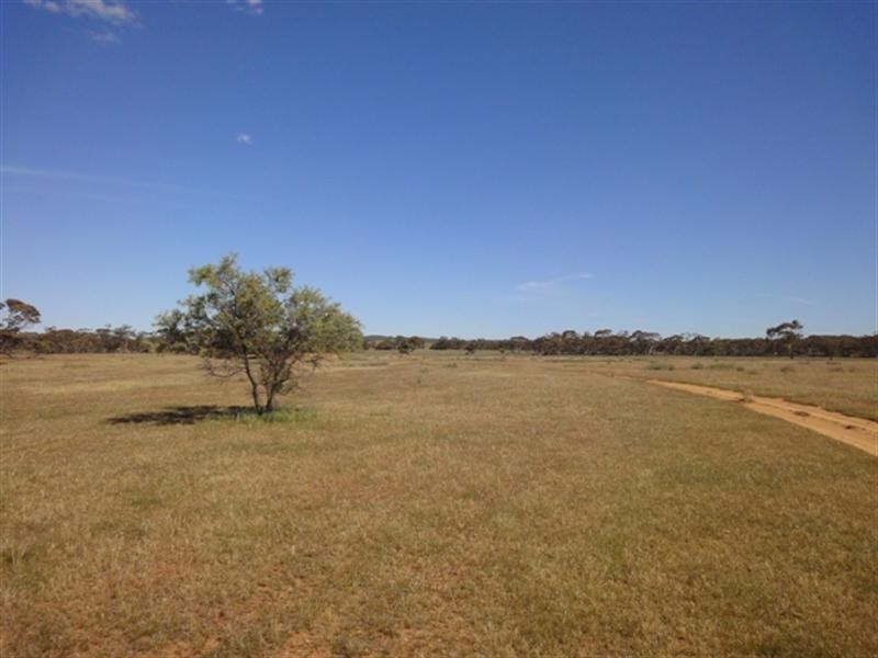 “Ragless” Mallett and Ragless Roads, Hallett SA 5419