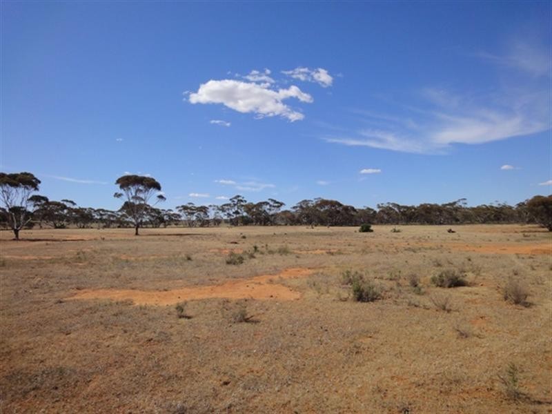 “Ragless” Mallett and Ragless Roads, Hallett SA 5419