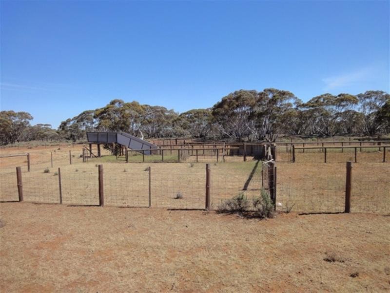 “Ragless” Mallett and Ragless Roads, Hallett SA 5419