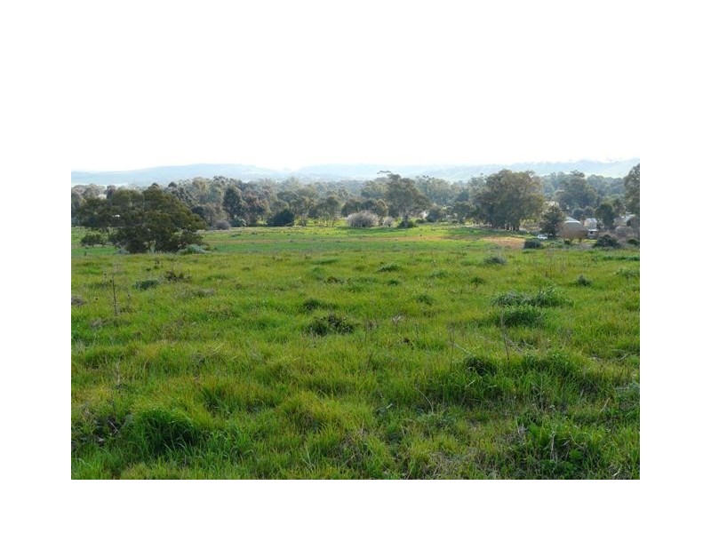Lot 1 and Lot 2 Short Street, Mintaro SA 5415