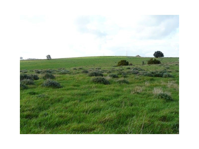 Lot 1 and Lot 2 Short Street, Mintaro SA 5415