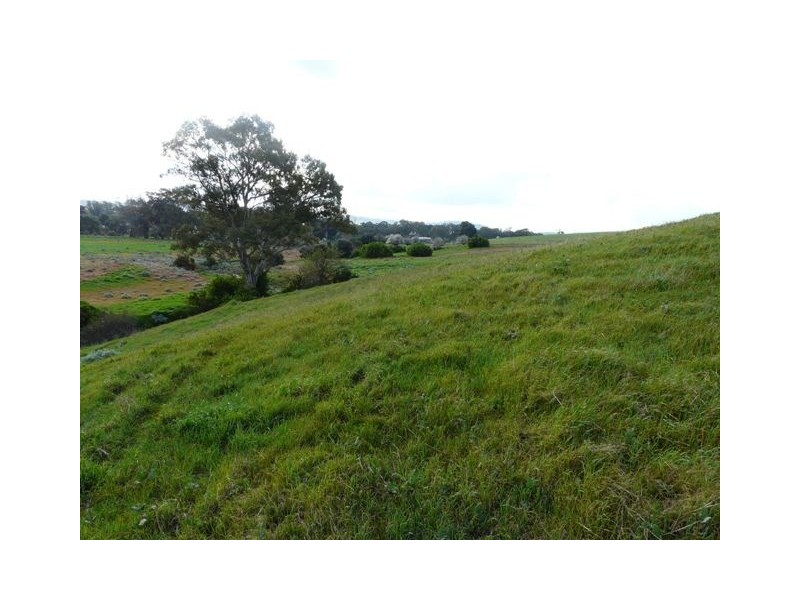 Lot 1 and Lot 2 Short Street, Mintaro SA 5415