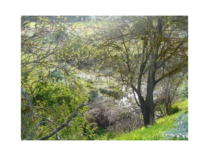 Lot 1 and Lot 2 Short Street, Mintaro SA 5415