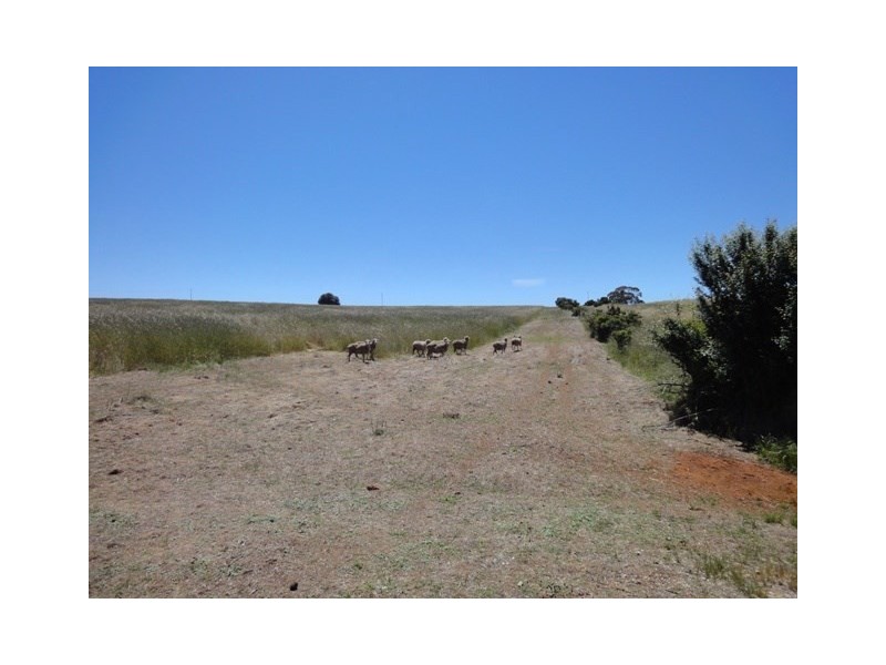 Lot 1 and Lot 2 Short Street, Mintaro SA 5415