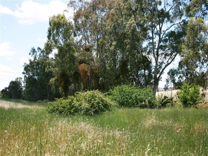 Lot 200 Emu Rock Road, Clare SA 5453