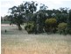 Lot 200 Emu Rock Road, Clare SA 5453