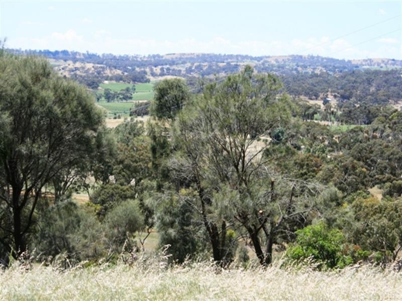 Lot 200 Emu Rock Road, Clare SA 5453
