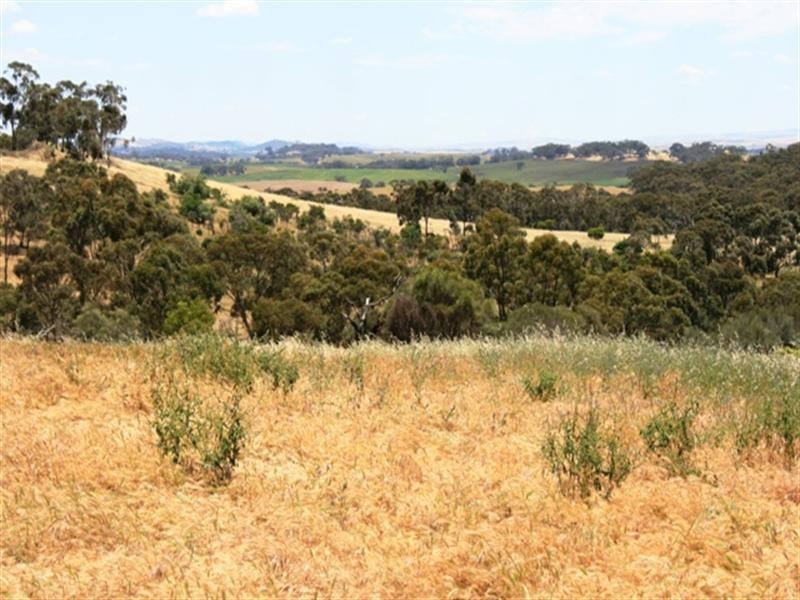 Lot 200 Emu Rock Road, Clare SA 5453