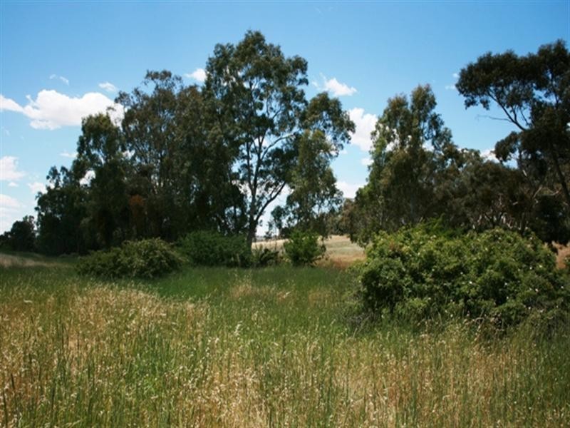 Lot 200 Emu Rock Road, Clare SA 5453