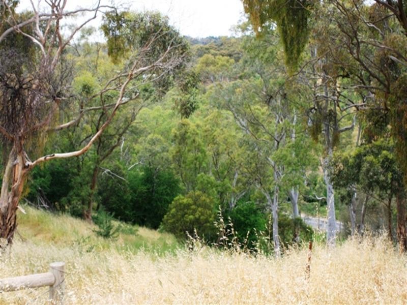 Lot 5 Campbell Road, Penwortham SA 5453