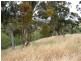 Lot 5 Campbell Road, Penwortham SA 5453