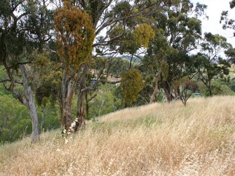 Lot 5 Campbell Road, Penwortham SA 5453