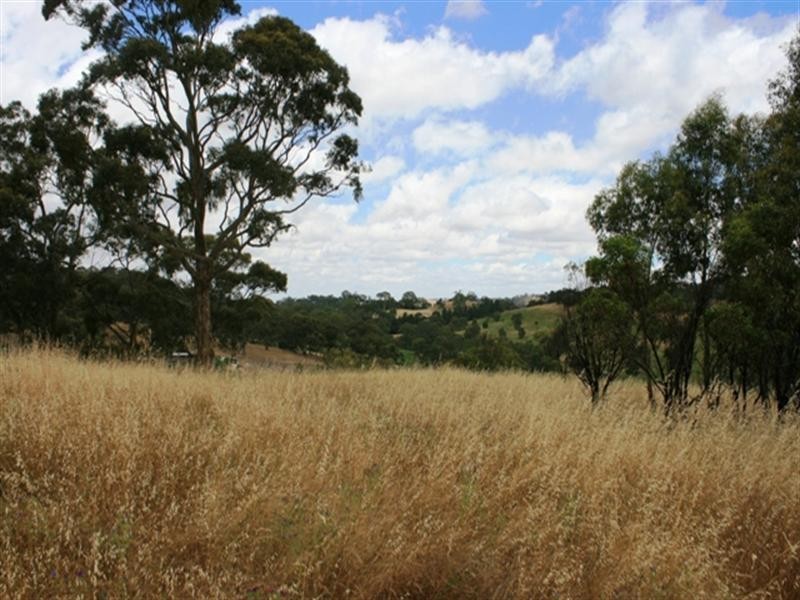 Lot 5 Campbell Road, Penwortham SA 5453