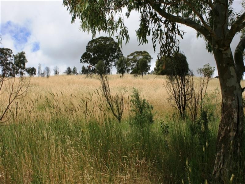 Lot 5 Campbell Road, Penwortham SA 5453