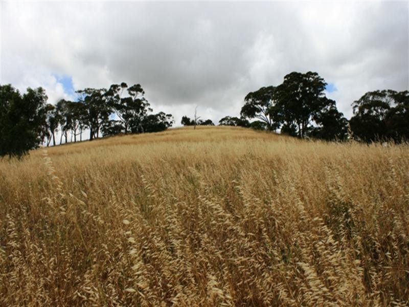 Lot 5 Campbell Road, Penwortham SA 5453
